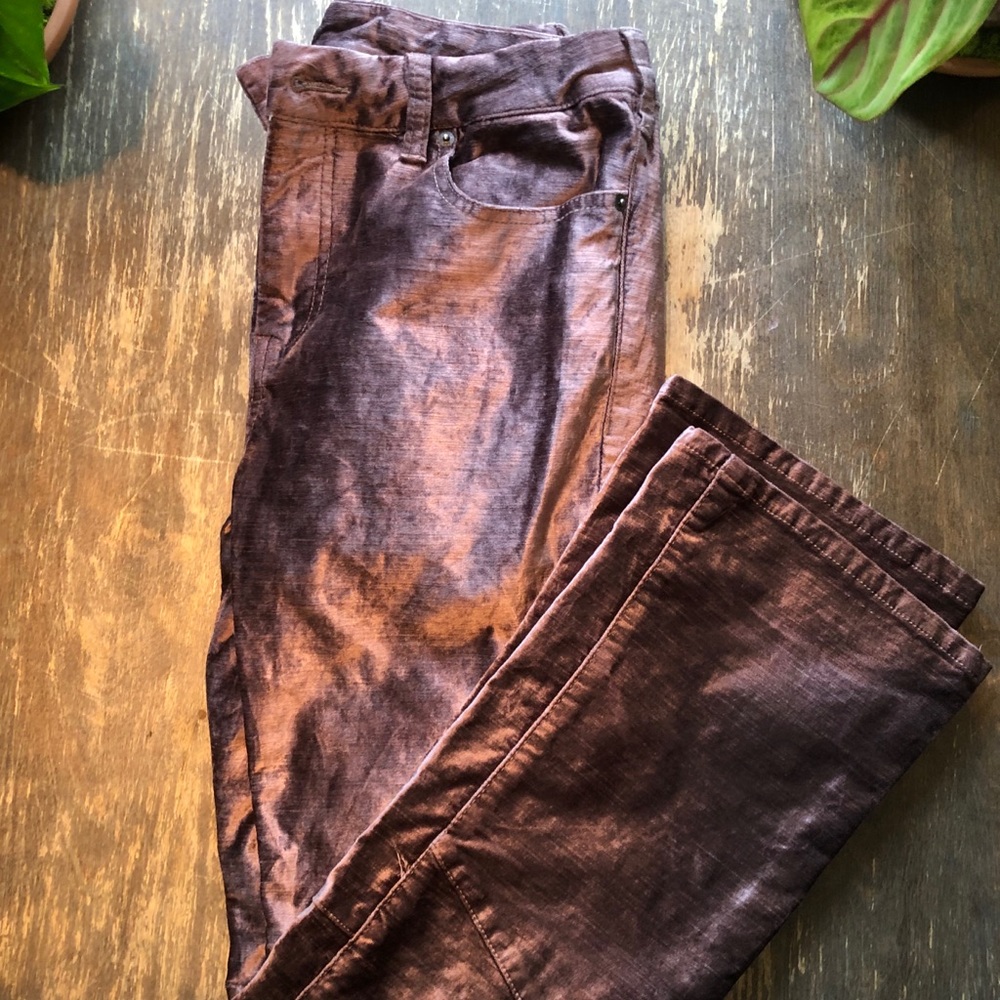 Shiny Velvet Free People Pants!